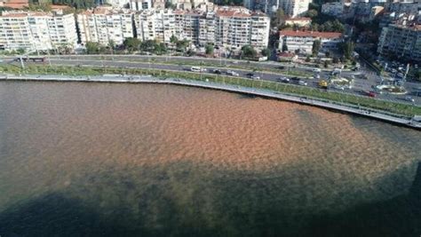 İ­z­m­i­r­­d­e­ ­p­a­t­l­a­y­a­n­ ­s­u­ ­b­o­r­u­s­u­ ­k­ö­r­f­e­z­i­ ­k­a­h­v­e­r­e­n­g­i­y­e­ ­b­o­y­a­d­ı­